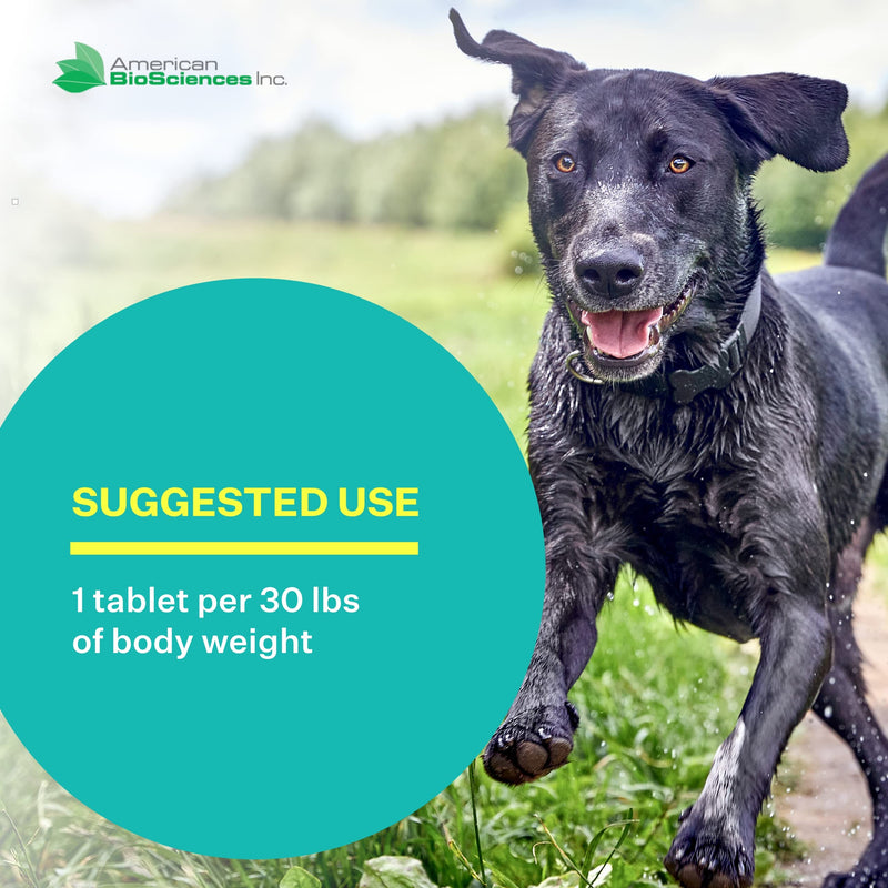 DGP, All-Natural Joint Supplement for Dogs - Joint Support with Turmeric, Boswellia Extract & More - Quick Effect for Immediate Mobility Support - 60 Chewable Pet Tablets - PawsPlanet Australia