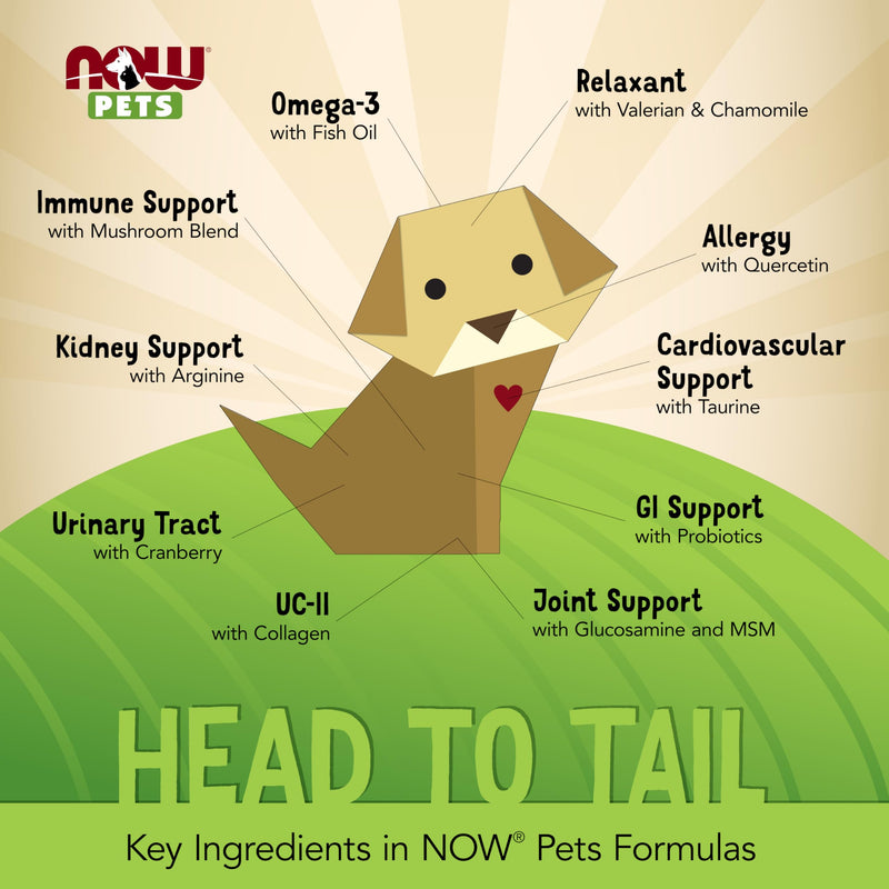 NOW Foods Pet Health, Cardiovascular Support Supplement, Formulated for Cats & Dogs, NASC Certified, Powder, 4.5-Ounce Chicken 4.5 Ounce (Pack of 1) - PawsPlanet Australia