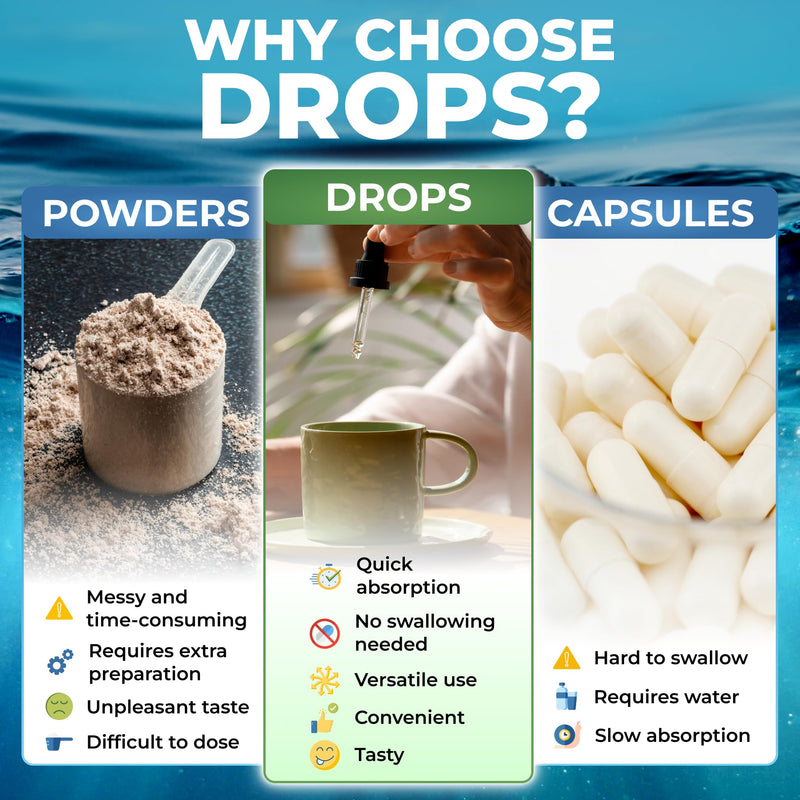 TrueSeaMoss Sea Moss Liquid Drops – Apple, 30 Servings | Irish sea moss liquid drops with black cumin seed oil, bladderwrack, burdock root, vitamin C & zinc. Apple flavor