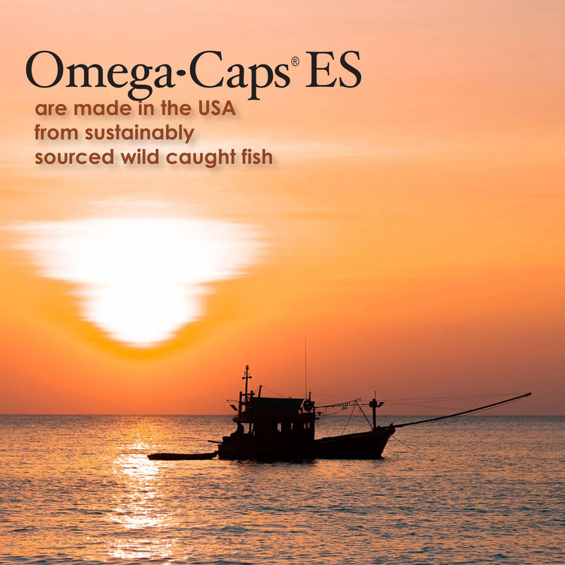 Omega-Caps Extra Strength for Large Breeds-Vet Formulated for Healthy Radiant Skin & Coat While Reducing Excess Shedding. Contains Omega 3 for Immune System Support, Easy to Dose, 60 Soft Gel Capsules 60 Caps - PawsPlanet Australia