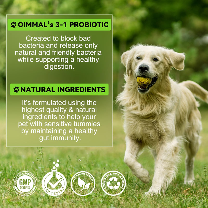 Probiotics for Dogs，3-in-1 Dog Probiotics，Dog Probiotics for Digestive Support, Dog Probiotic Supplements，Pet Probiotics for Dogs， Liquid Probiotics for Dogs | 2 Oz - PawsPlanet Australia