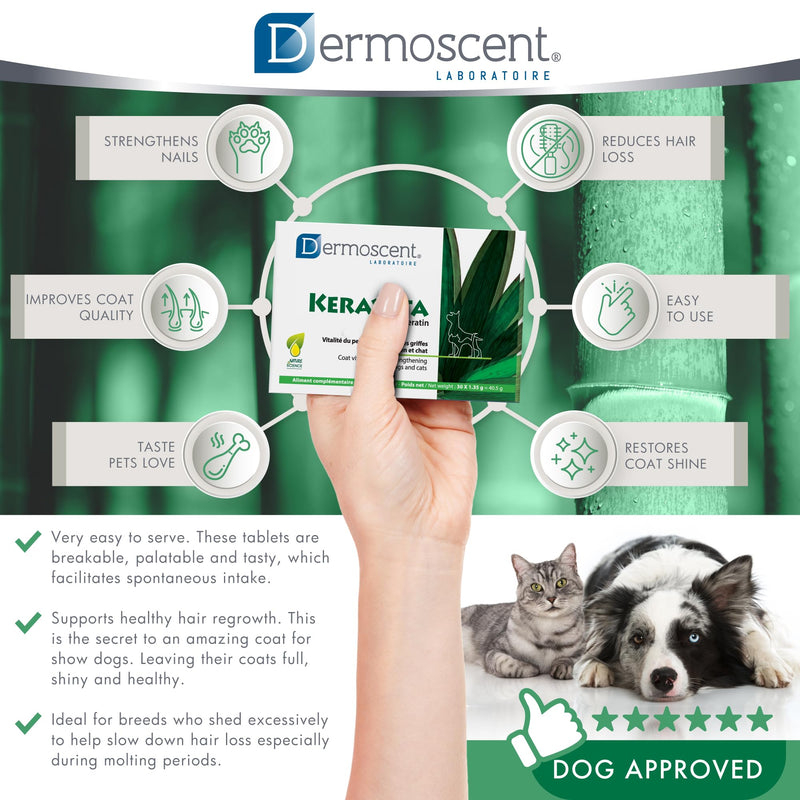 Dermoscent Keravita® Dog & Cat Skin and Coat Food Supplement - Natural Vitamin Pills for Hair Loss or Brittle Claws - 30 Tablets - PawsPlanet Australia