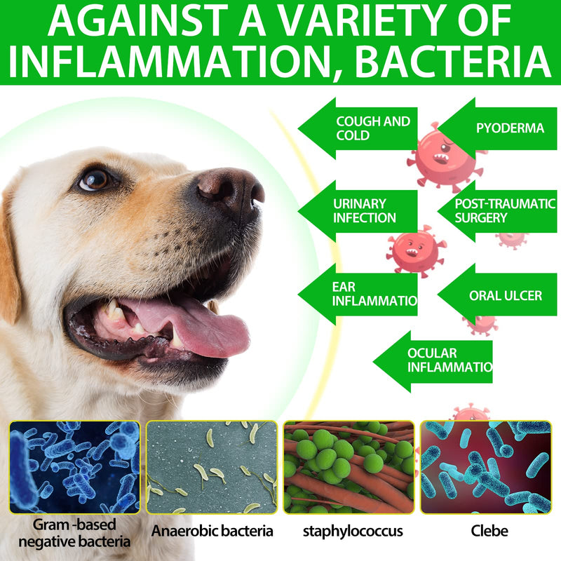 Dog Antibiotics Antibiotics for Dogs Dog Eye Infection Treatment Dog Cough Treatment Dog Cough Treatment 2.02fl.oz (60ml) 60ml - PawsPlanet Australia