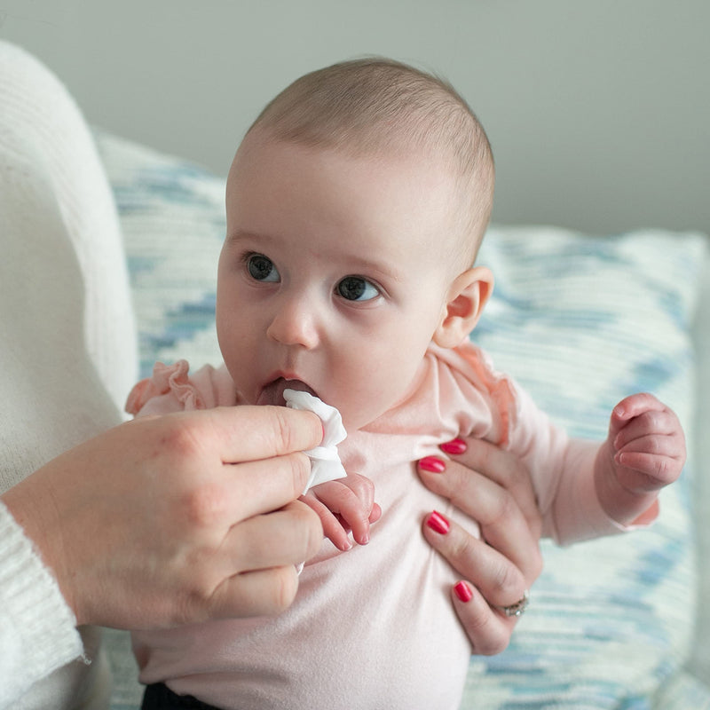 Dr. Brown's Infant-to-Toddler Toothbrush, Giraffe, Fluoride-Free Baby Toothpaste, and Tooth and Gum Wipes Giraffe + Toothpaste + Wipes
