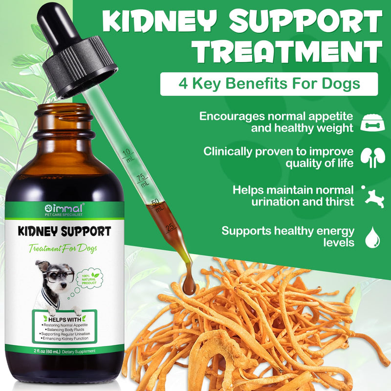 Kidney Support for Dogs, Kidney Support Herbal Supplement Drops Supports Healthy Kidney Function & Urinary Tract Health in Dogs Restoring Normal Appetite 2 oz - PawsPlanet Australia