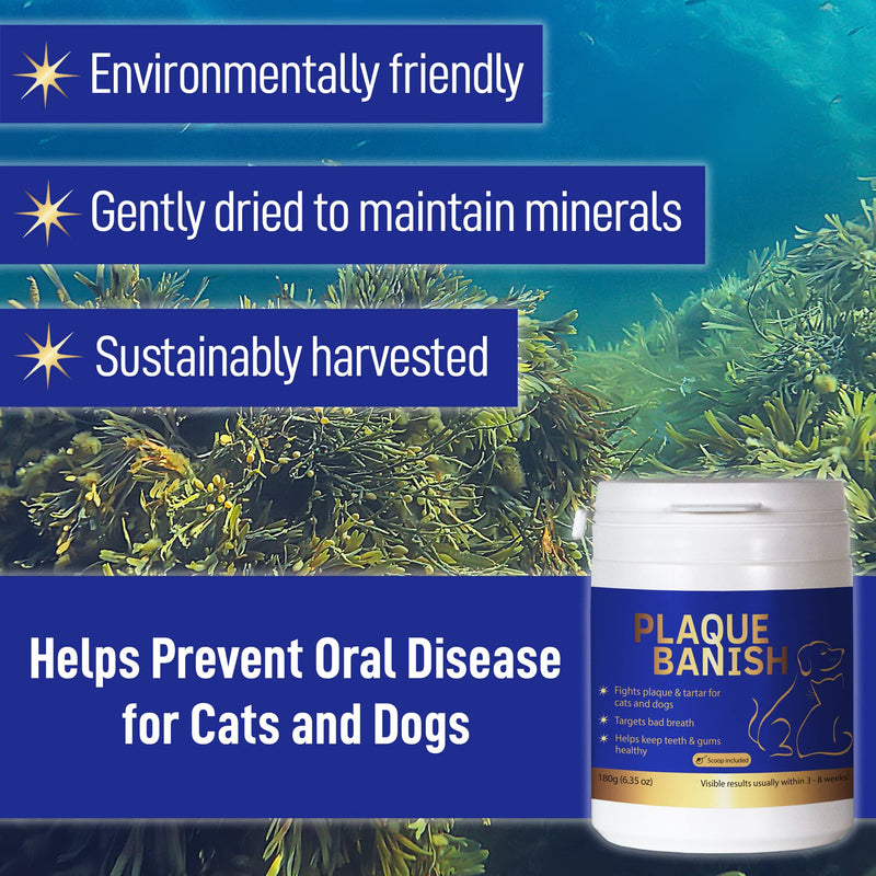 100% Natural Plaque Off & Tartar Remover For Dogs & Cats | Freshen Breath For Dogs & Cats | 6.3oz (180g) | Support Healthy Gums & Promote Dental Health | Prevent Plaque & Tartar Build Up - PawsPlanet Australia