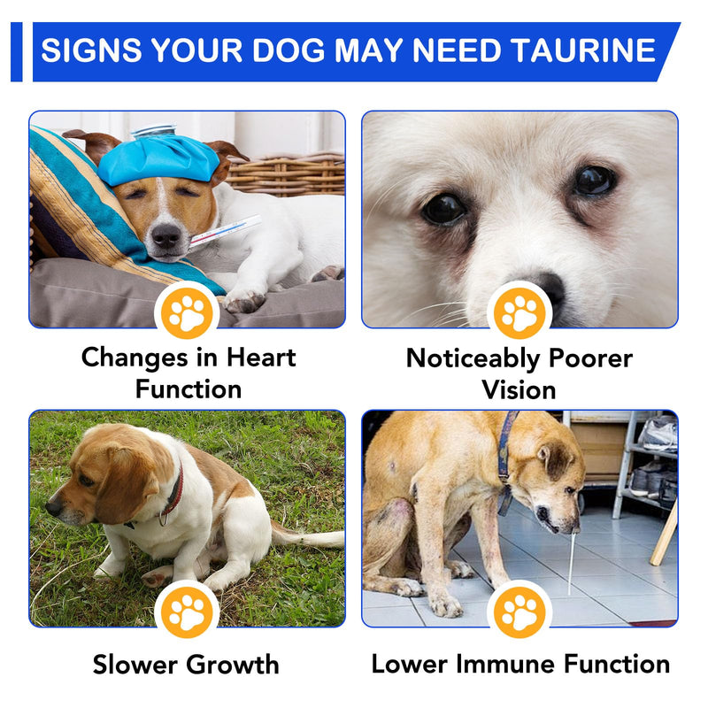 Taurine for Dogs Taurine Supplements for Dog Natural Amino Acid for Heart Health, Longevity, Digestive Health & Vision Pet vitamins and Supplements 60ml