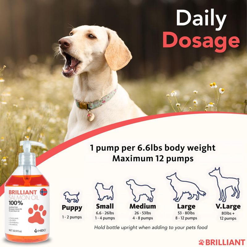 Salmon Oil for Dogs - Healthy Skin & Coat, Natural Norwegian Omega 3 Fish Oil Food Supplement, EPA & DHA Fatty Acids, Ideal for Shedding, Allergy, Itching, Dry Skin, Joint & Bone Health - (2 x 16.9oz) 16.9 oz (Pack of 2) - PawsPlanet Australia