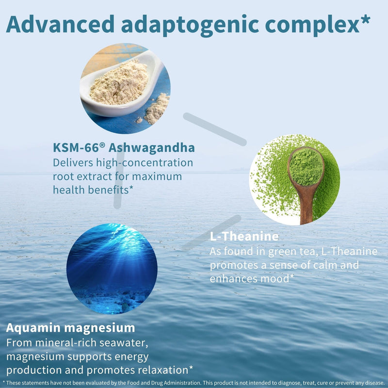 [Australia] - Advanced Ashwagandha KSM-66, L-Theanine & Magnesium, Clean Label, Multi Action Adaptogen Complex for Stress Support with Zinc & B Vitamins, 60 Vegan Capsules, by Igennus… 60 Count (Pack of 1) 