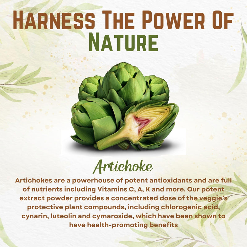 [Australia] - Go Nutra Artichoke Extract Powder Potent 5% Cynarin Artichoke Powder Pure Artichoke Leaf & Stem 4oz. | 150 servings 