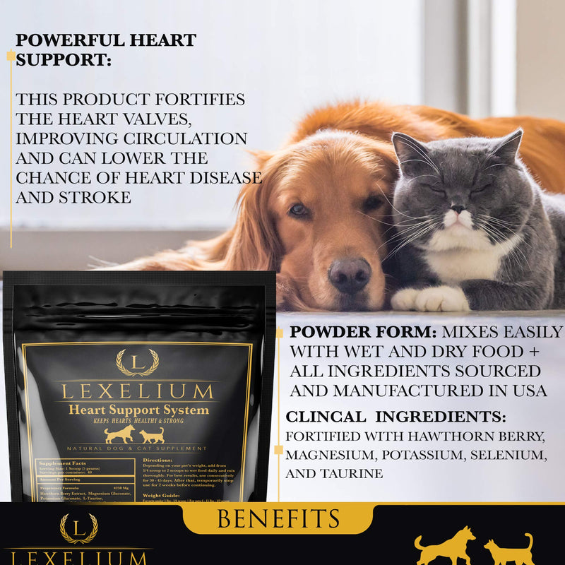 Heart Supplement for Dogs and Cats - Provides Cardiovascular & Circulatory Support & Keeps Hearts Healthy with Taurine – Optimizes Heart Function & Circulation - Easy to Mix Powder - 200g - PawsPlanet Australia
