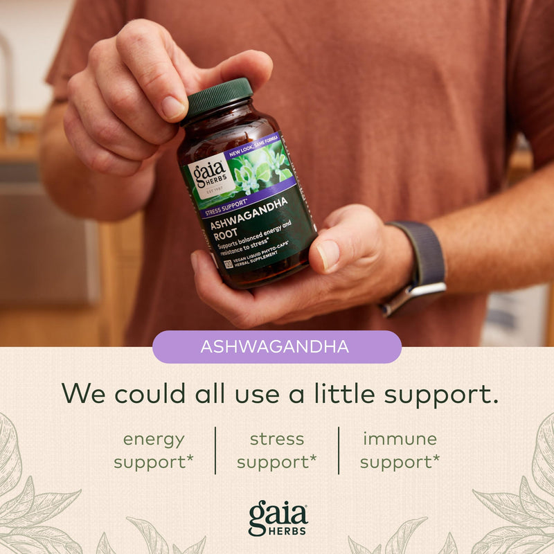 [Australia] - Gaia Herbs, Ashwagandha Root Vegan Liquid Phyto Capsules - Stress Relief, Immune Support Supplement, Balanced Energy Levels and Mood , 120 Ct (Pack of 1) 120 Count (Pack of 1) 