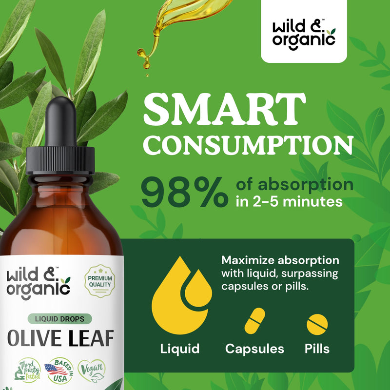[Australia] - Olive Leaf Extract Liquid - Immune Support Supplement w/ Olive Leaf Extract - Alcohol-Free Olive Tree Extract for Antioxidant Support - Leaf Olive Drops - Olive Leaf Pure Tincture - 4 oz 4 Fl Oz (Pack of 1) 