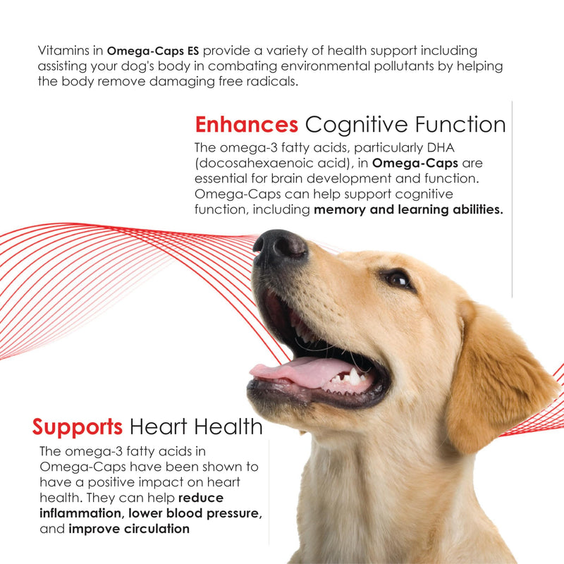 Omega-Caps Extra Strength for Large Breeds-Vet Formulated for Healthy Radiant Skin & Coat While Reducing Excess Shedding. Contains Omega 3 for Immune System Support, Easy to Dose, 60 Soft Gel Capsules 60 Caps - PawsPlanet Australia