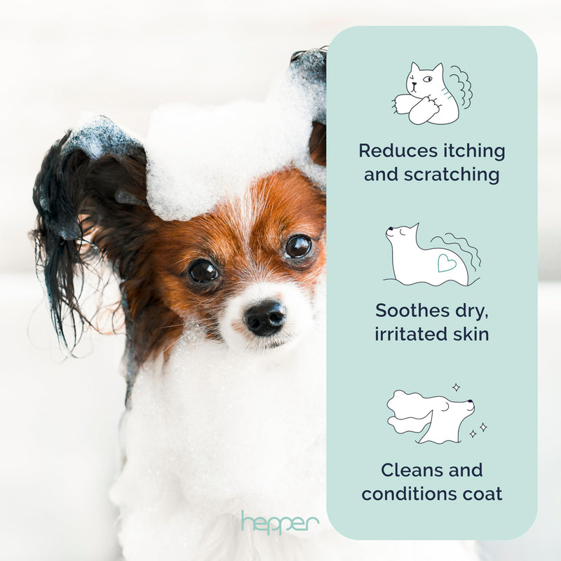 Hepper Oatmeal Shampoo for Dogs, Cats and Other Pets - All Natural Pet Shampoo: No Dog Soap, Cat Soap or Pet Soap - Dog Shampoo Sensitive Skin, Dog Dry Skin, Dog Itchy Skin Treatment -Cucumber & Aloe - PawsPlanet Australia