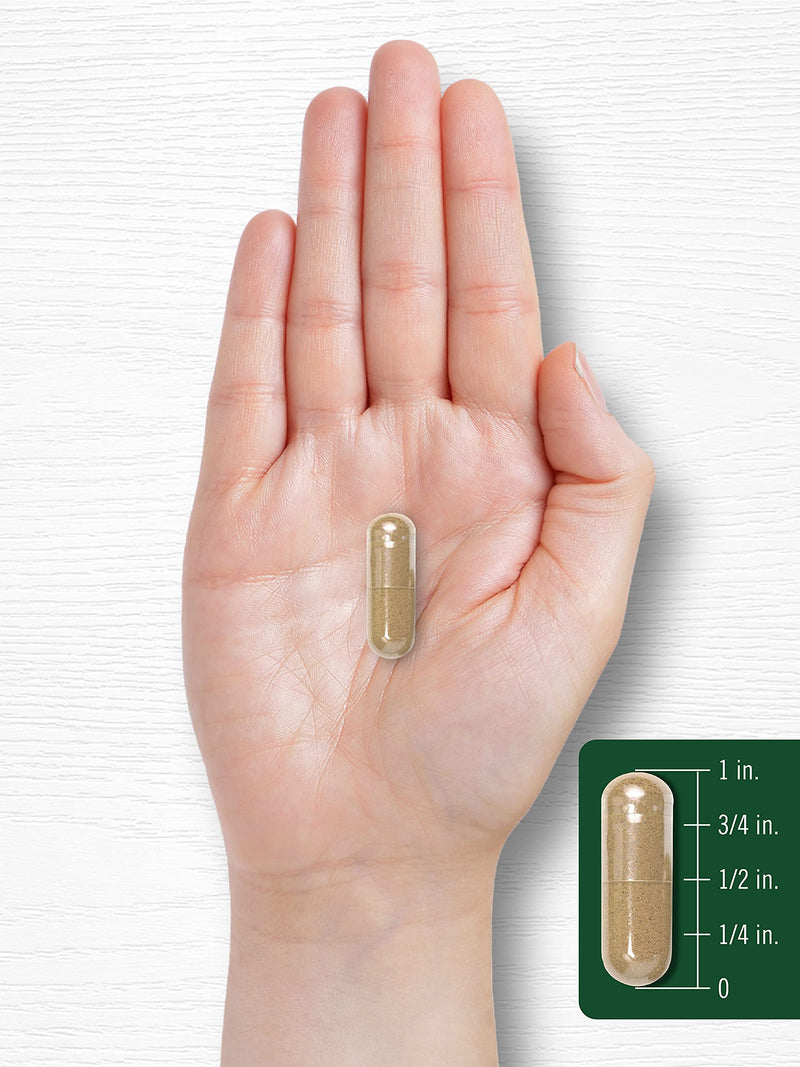 [Australia] - Carlyle Artichoke Extract Capsules 8000mg | 200 Count | Non-GMO, Gluten Free Supplement 