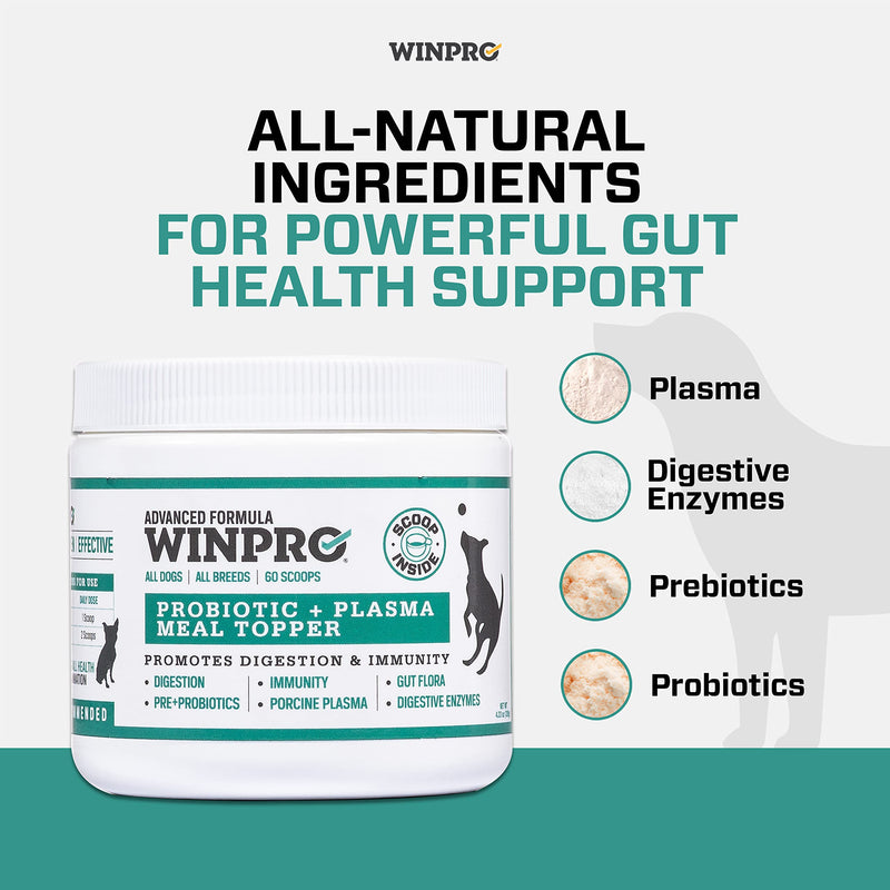 WINPRO Dog Probiotic Powder Meal Topper, Spray Dried Plasma with Prebiotics and Probiotics for Digestive Support and Gut Health for Dogs, All Breeds, Ages, and Sizes, 60 Scoops, Made in USA - PawsPlanet Australia