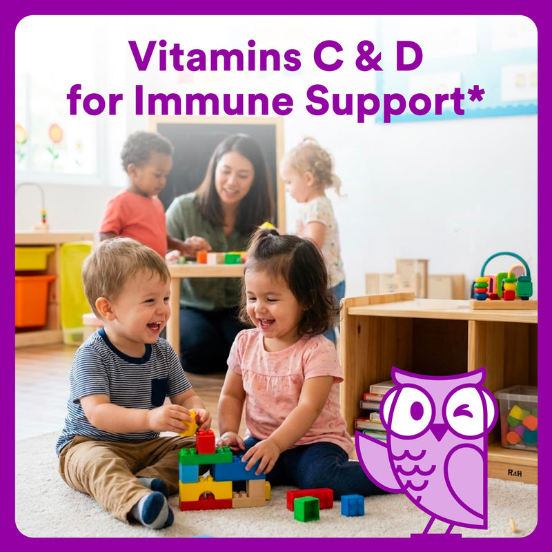 SmartyPants Toddler Multivitamin Gummies, Omega 3 (DHA/EPA), Vitamins D3, C, Vitamin B12, B6, A, K & Zinc, Biotin, Gluten Free, Three Fruit Flavors, 60 Count (30 Day Supply) 60 Count (Pack of 1) Multi + Omega - 30 Day Supply