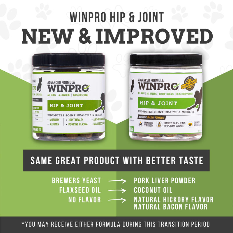 WINPRO | Dog Hip and Joint Supplement, Plasma-Powered Chews for Joint Support in Dogs of All Breeds and Sizes, Fast Acting with Collagen, 60 Count, Made in USA - PawsPlanet Australia