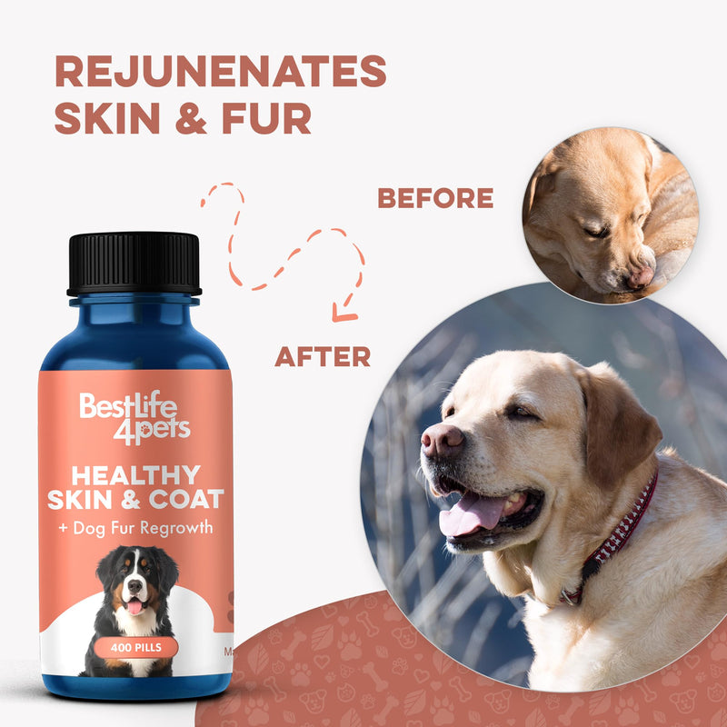 Natural Skin & Coat Supplement for Dogs, Large and Small, Dog Anti Itch Relief for Dry Skin, Rash, Allergy or Irritation, Reduces Shedding, Dandruff and Supports Dog Hair Growth, 400 Small Pills - PawsPlanet Australia