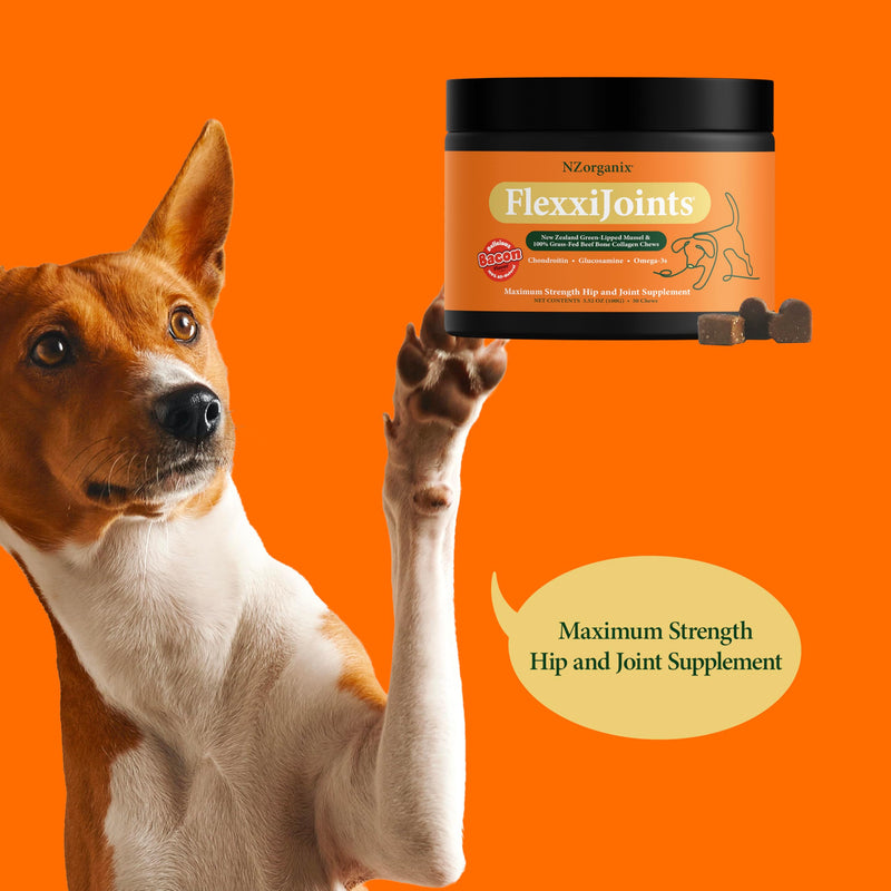 NZorganix FlexxiJoints Hip and Joint Supplement Chews for Dogs, Cats • 100% Grass-Fed Beef Bone Collagen New Zealand Green-Lipped Mussels • 50 Chews - PawsPlanet Australia