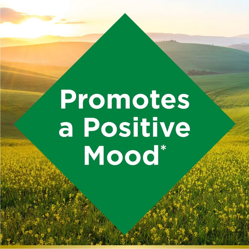 [Australia] - Nature's Bounty St. John’s Wort 300mg Capsules, Herbal Health Supplement, Promotes a Positive Mood, 100 Capsules 1 Count (Pack of 100) 