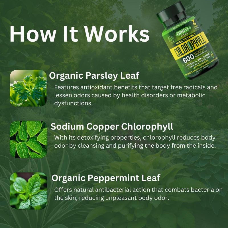 [Australia] - Orry's Vital Chlorophyll Capsules 600 mg - Natural Internal Deodorant to Detox Body Odor, Armpits & Private Parts - Body-Deodorizing Supplement: Supports Immunity and Digestion - 60 Chlorophyll Pills Chlorophylls Capsules 