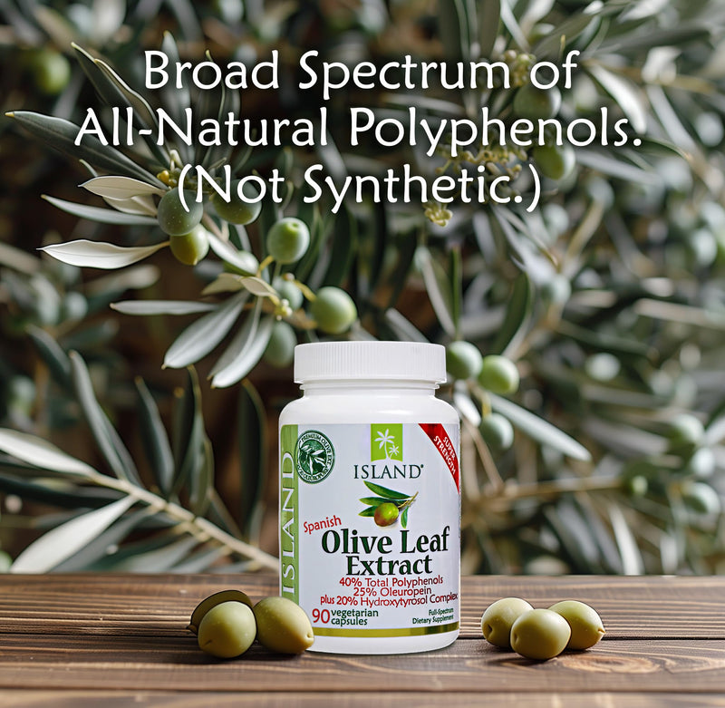 [Australia] - Olive Leaf Extract Capsules – 25% Oleuropein (40% Total Polyphenols), Plus 20% Hydroxytyrosol Complex – 100% Grown & Extracted in Spain (90 Capsules) 