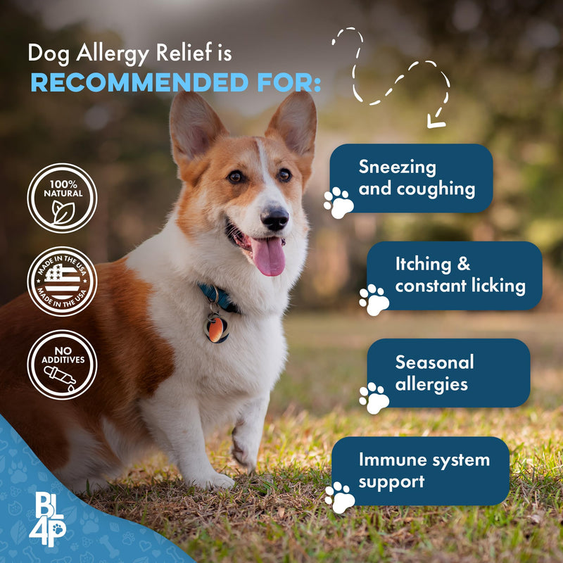 Dog Allergy Relief & Immune Support, Natural Holistic Itch Relief for Dogs, Immune System Guard and Allergy Support, Including Seasonal Allergies, Sneezing, Runny Nose and Itching, 400 Small Pills - PawsPlanet Australia