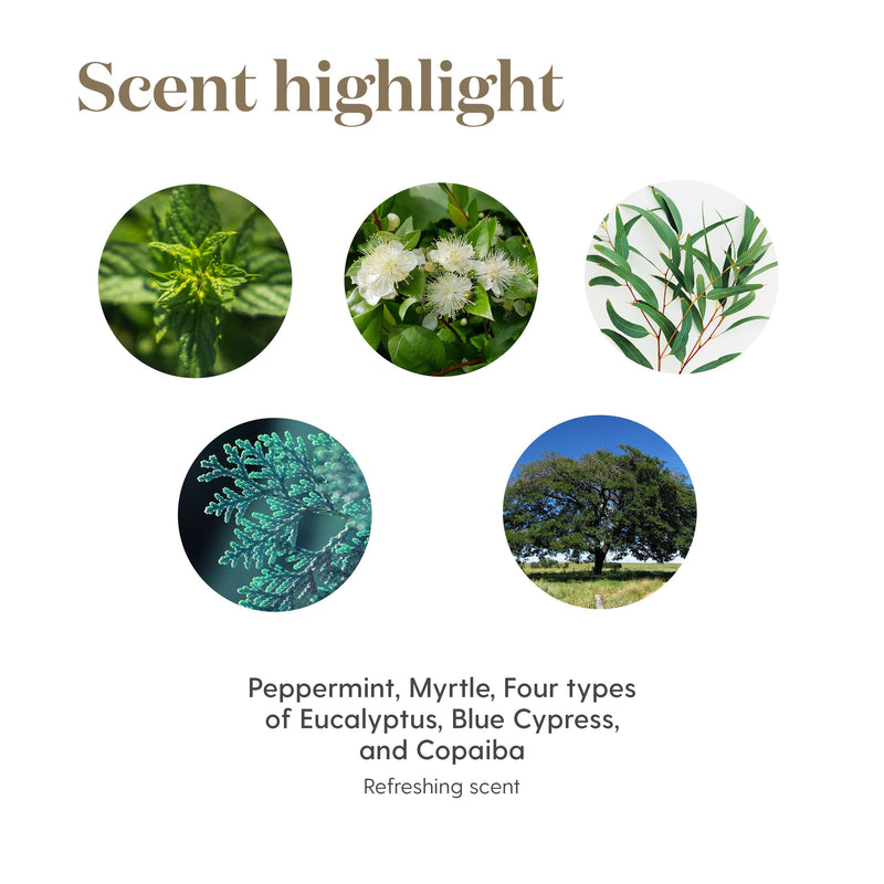 Young Living Breathe Again Essential Oil Roll On - 10ml for Easy Relief - Combines Copaiba, Myrtle, and Peppermint with Four Different Types of Eucalyptus