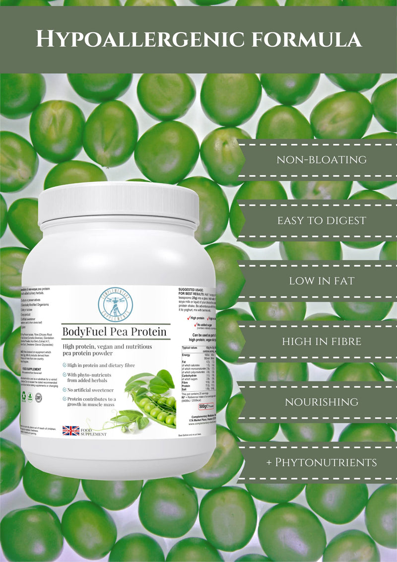 BodyFuel Hypoallergenic Pea Protein Isolate Powder – Non-Bloating Plant Protein with Phytonutrients, Green Tea, Chicory, Dandelion & Acai – Vegan, 500g