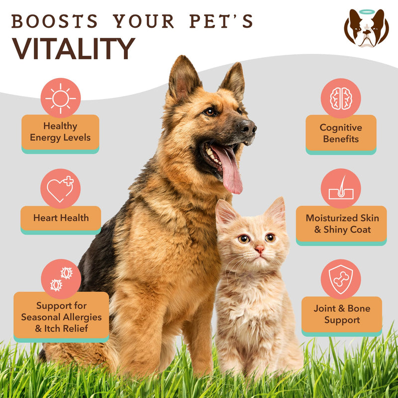 Natural Dog Company Itchy Dog Shampoo (12 oz) Bundle with Wild Alaskan Salmon Oil (16 oz) | Hypoallergenic Shampoo and Sensitive Skin Supplement | Soothing Relief for Recurring Skin Conditions - PawsPlanet Australia