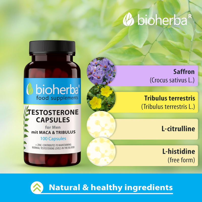 Men’s Vitality Complex – 200 Capsules by BIOHERBA | with Maca, Tribulus & Ginseng for Energy, Muscle Function & Hormonal Balance 200 pcs