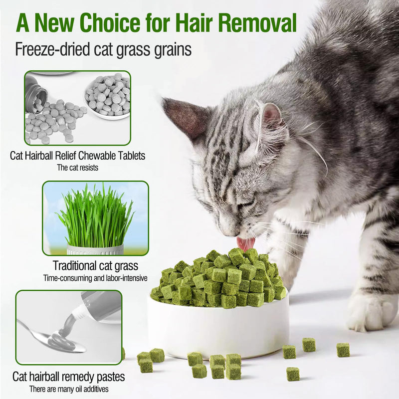 60g/2.12oz Cat Grass Teething Toy Hairballs,Chew Treats for Cats,Edible Cat Chew Toys,Natural for Cats,Teeth Cleaning and Hairball Removal - PawsPlanet Australia