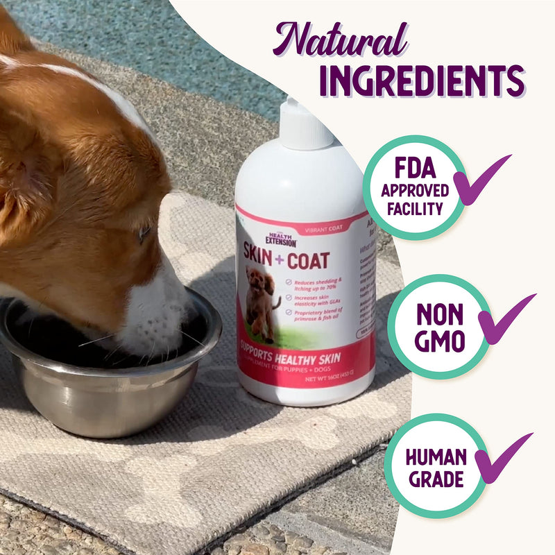 Health Extension Skin & Coat Supplement for Dogs & Puppies, 16oz - Omega 3 & 6 Rich Formula for Healthy Skin & Shiny Coat, Reduces Shedding & Itching - PawsPlanet Australia