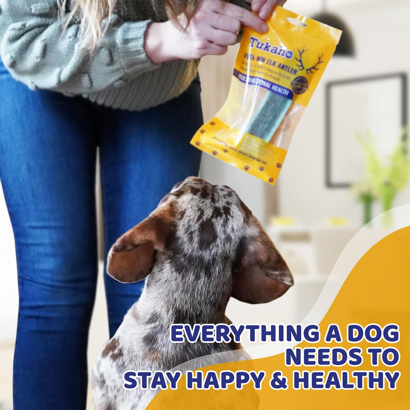 New Vita-Min Split Elk Antlers for Dogs Large with Vitamins & Minerals for Overall Health – Natural Dog Dental Treats for Oral Care (Large) 1 Count (Pack of 1) - PawsPlanet Australia