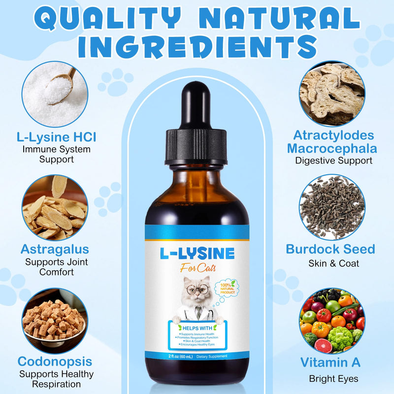 Lysine Supplement for Cats & Kittens – Daily L-Lysine Support for Immune & Overall Wellbeing – Easy-Mix Liquid Formula – Tasty & Gentle Nutritional Support – 60ml