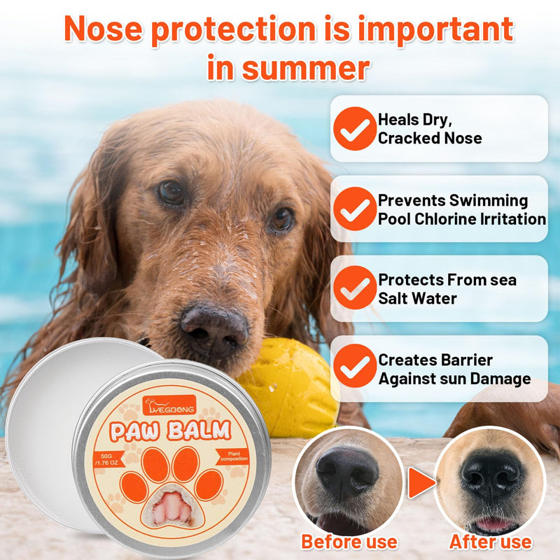 [Australia] - Dental Powder & Pet Teeth Cleaning Powder Kit for Dogs & Cats – Complete Oral Care Kit for Clean Teeth & Fresh Breath – Includes Dog Paw Balm, Nose Balm & Protective Paw Wax 1.76 Ounce (Pack of 1) 