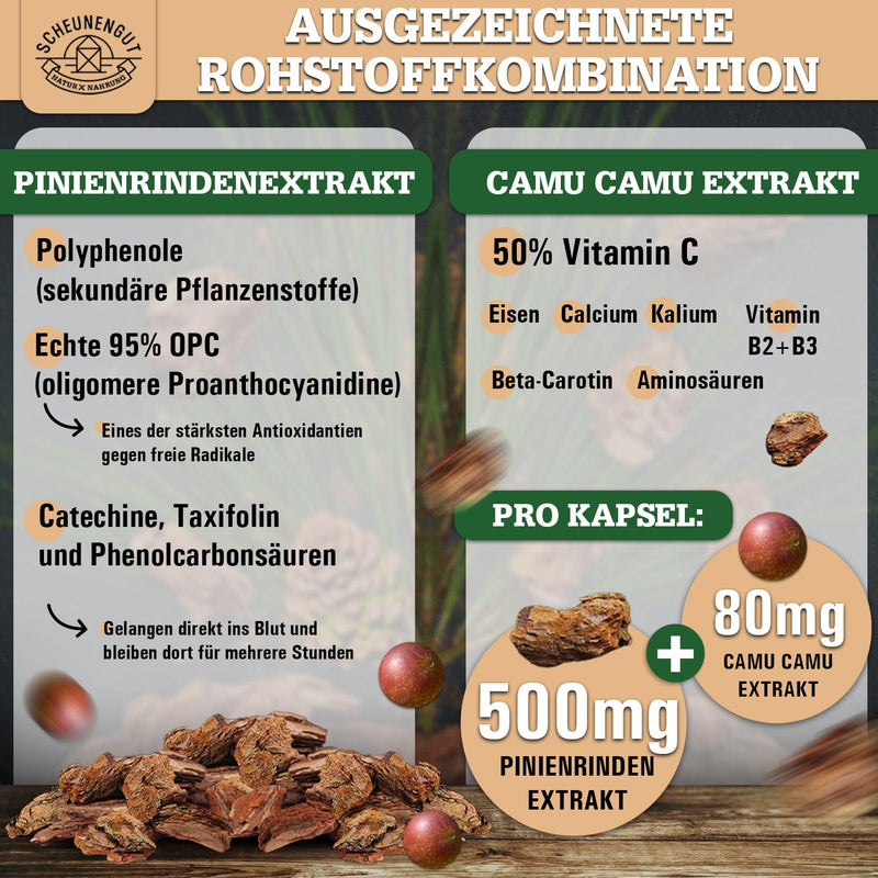 [Australia] - Pine bark extract -475mg OPC per capsule- IMPORTANT: 25:1 extract (=14500mg French maritime pine per dose) +Vitamin C I 150 capsules with 95% OPC I Laboratory tested -DE- SCHEUNENGUT® 