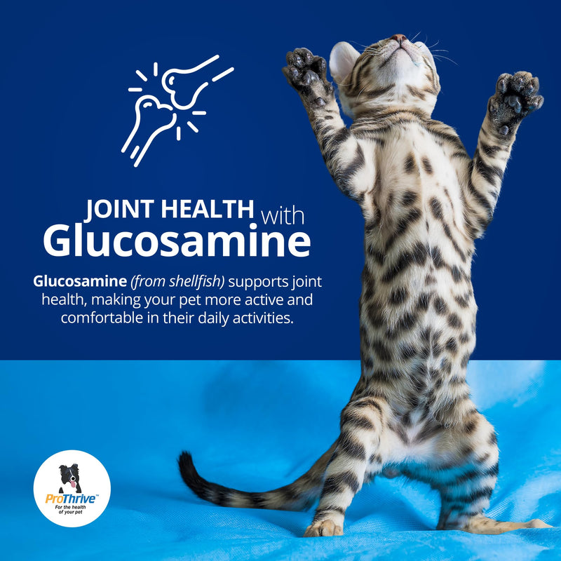 PROTHRIVE Spunky Digestive Supplement - Probiotics, Digestive Enzymes, Joint Support for Cats and Dogs | Gut Health | Pet Probiotics for Dogs and Cats - 1lb - PawsPlanet Australia
