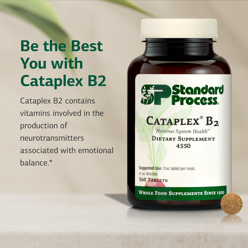 Standard Process Cataplex B2, Nervous System & Brain Health, 360 Tablets | Supplement for Nervous System Support, Brain and Nerve Health, Excellent Source of Vitamin B2 and B6, Non-Dairy and Non-Soy Unflavored 360 Count (Pack of 1)