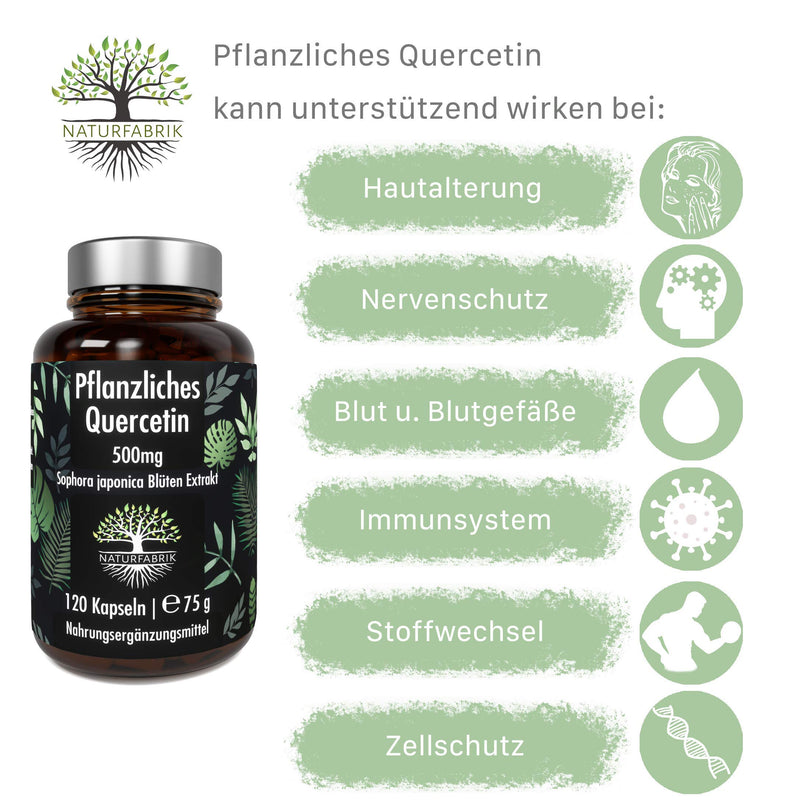 [Australia] - NATURFABRIK Quercetin 500mg | 120 capsules | 100% pure Sophora japonica flower extract from Japanese string tree | high dose | 4 month supply | Made in Germany 