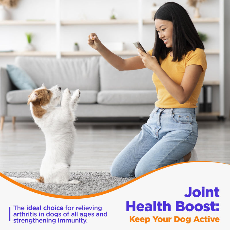 Supplement Anti Inflammatory for Dogs with Turmeric, Hip, and Joint - Dog Arthritis Pain Relief, Support for Mobility & Wellness, USA Made-GMP Certified, Non-GMO, 120 Tablets - Jack & Milo Anti-Inflammatory - PawsPlanet Australia
