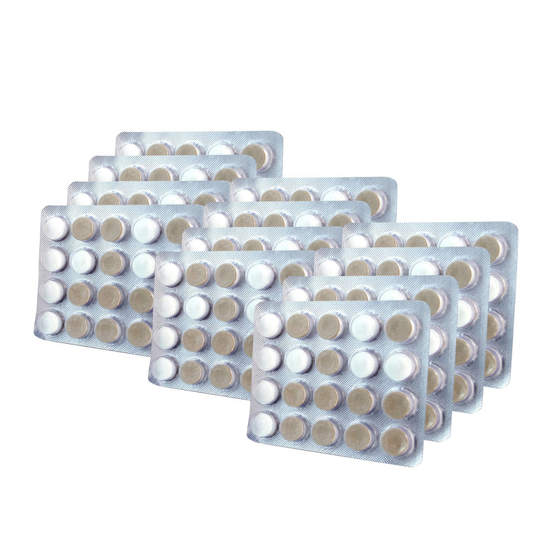 [Australia] - Oracoat XyliMelts for Dry Mouth Night Time or Day - Moisturizing Dry Mouth Adhering Discs, Sugar Free with Xylitol, 40 Count - 6 Pack, Mild Mint Flavor, 8-Hour Relief 