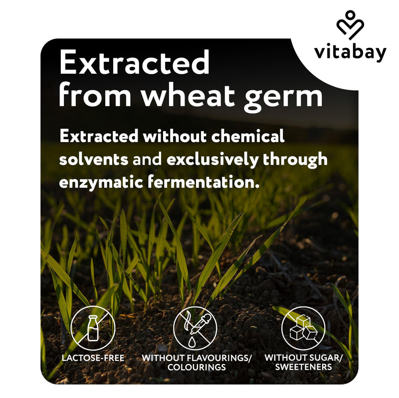 Vitabay Spermidine 6 mg High Strength Supplement – 120 Vegan Capsules with Fermented Wheat Germ Extract – Laboratory Tested in Germany – No Additives – 4 Month Supply