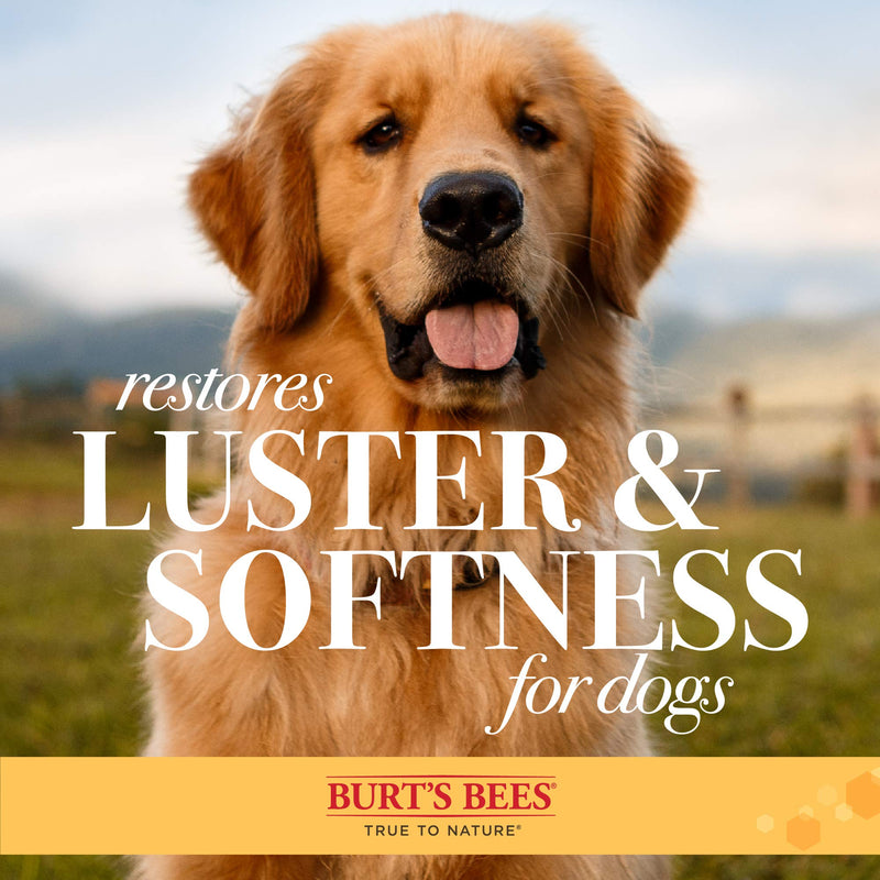 Burt's Bees for Pets Double Sided Pin & Hemp Bristle Dog Brush | Best All-Purpose Dog Brush to Reduce Shedding | for Long & Short Haired Large Dogs, Bamboo Brown Large - 1 Count - PawsPlanet Australia