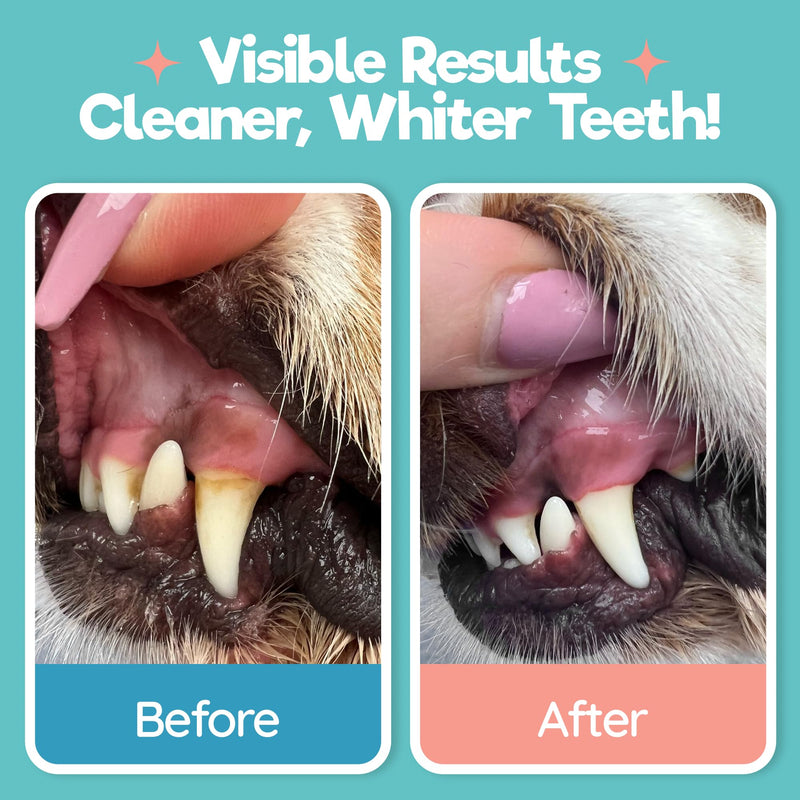 [Australia] - Dog Teeth Cleaning Wipes - Dog Tooth Brushing Kit - Dog Toothbrush Finger Wipes - Removes Plaque & Tartar, Dog Breath Freshener - No-Rinse Pet Dental Care for Dogs & Cats - Easy Use - 55 Count 