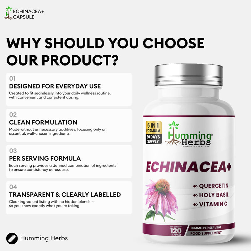 Humming Herbs Echinacea Supplement 6 in 1 | with Holy Basil Quercetin Vitamin C Zinc and Vitamin D3 | 1220 mg per Serving | 120 Vegan Capsules | 60 Day Supply