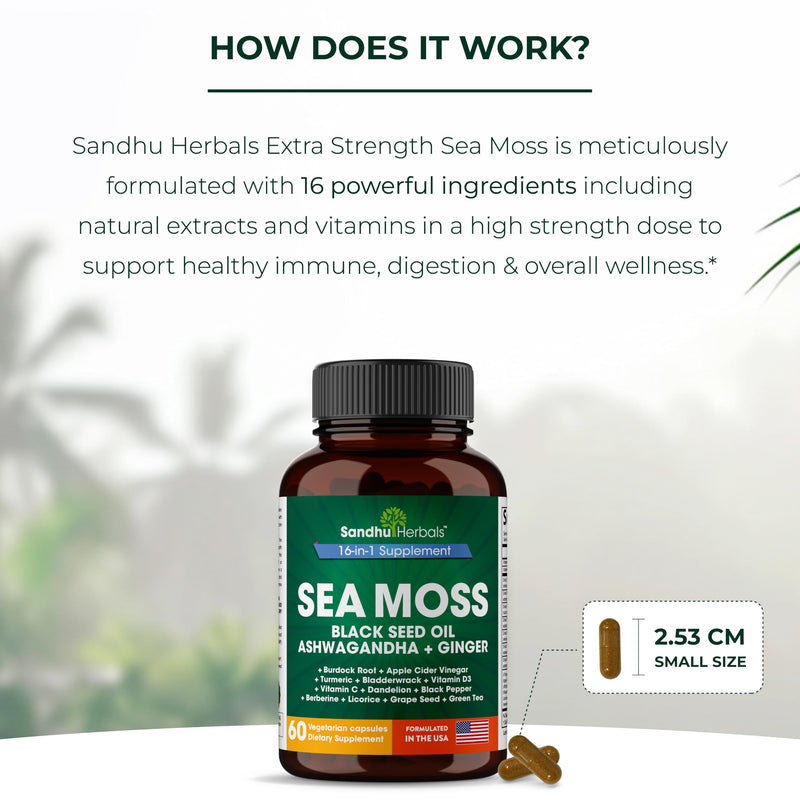 Sea Moss Capsules with Black Seed Oil Ashwagandha Ginger Burdock Root | Advanced Seamoss 60 Count | All Men Women Age