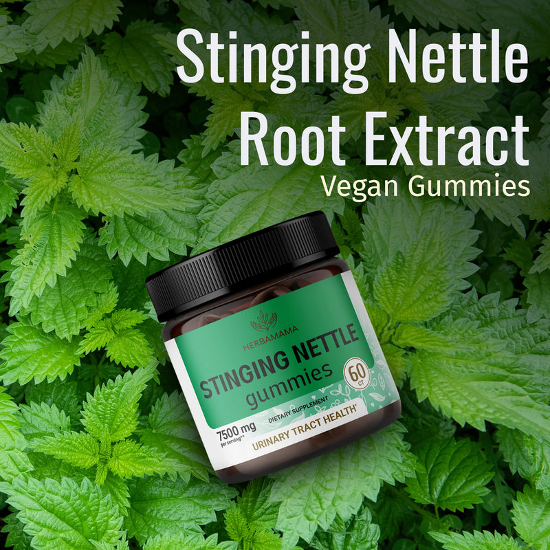 [Australia] - HERBAMAMA Stinging Nettle Root Gummies - Stinging Nettle Formula - 60 Vegan & Non-GMO Chews - 7500mg 